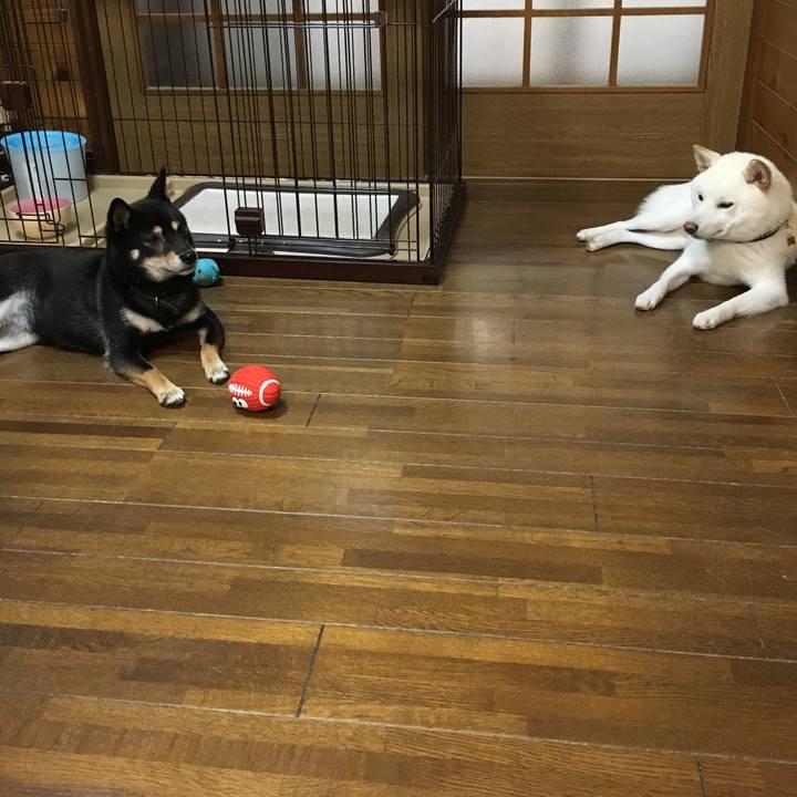 97003026 9c41 4671 ad59 1d8ce185ed0f