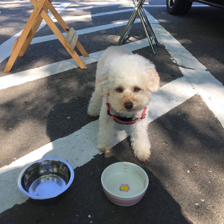 97008096 9731 4108 8b0d c93b231ba231