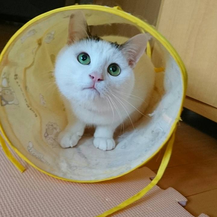 9700be13 c920 4f6f 8680 1b3723264f38