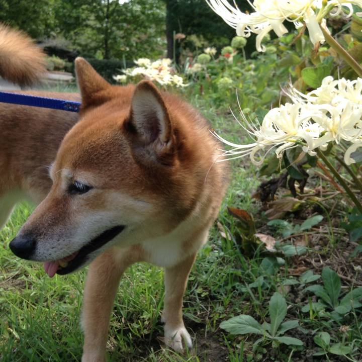 97011d33 70b2 4ef9 ab16 d1e684cd1b47