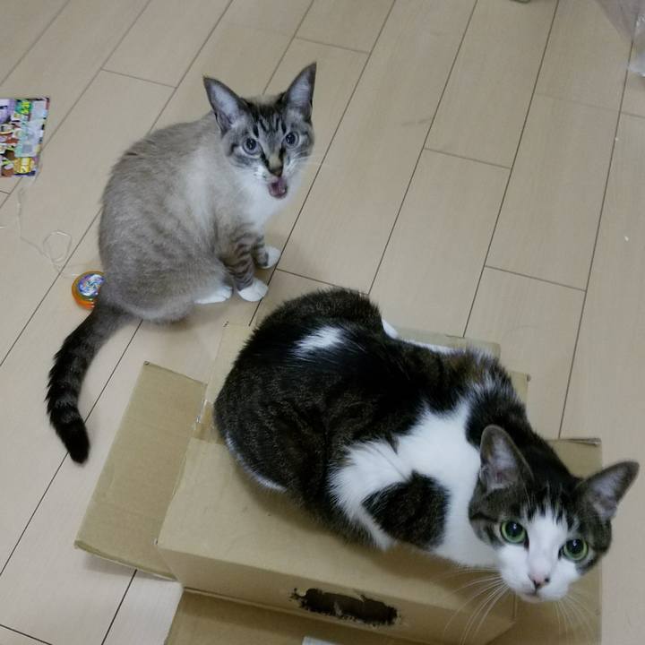 970151c1 5605 4bc4 8c26 7190bf57b089