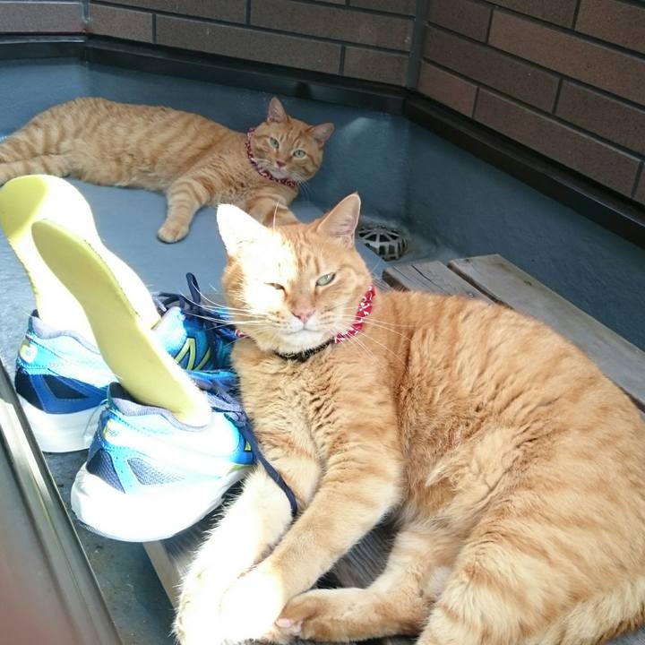 9701da5f 7999 4a8d affd e9d60ac5a961