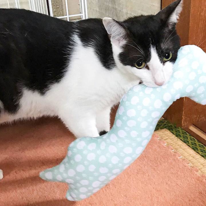 9702370a ae14 4bf9 8cd0 5aee19e887ea