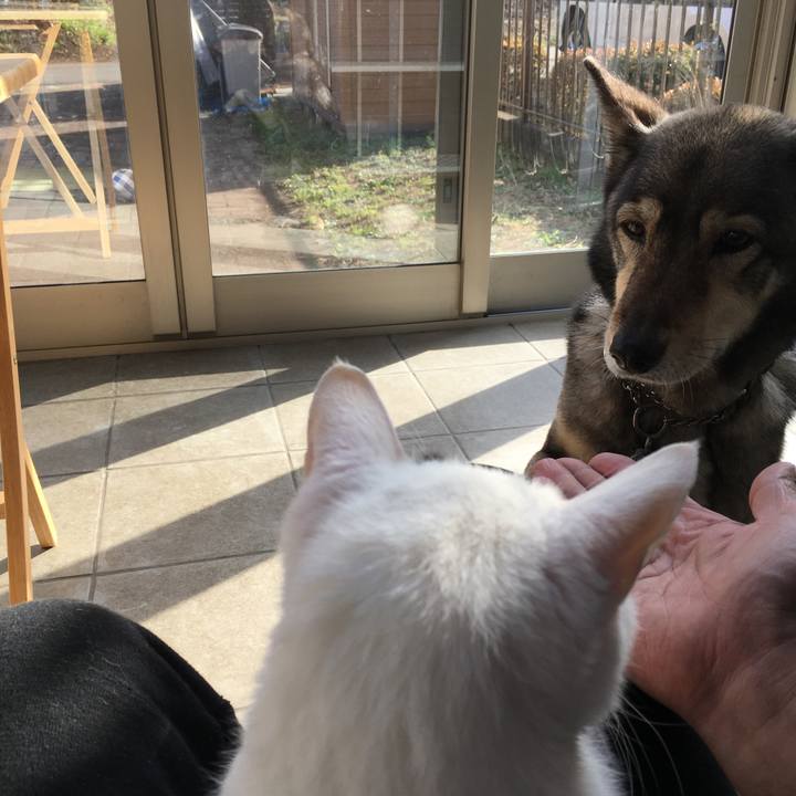 9702e753 44bb 42f2 902b 2a5ca6128276