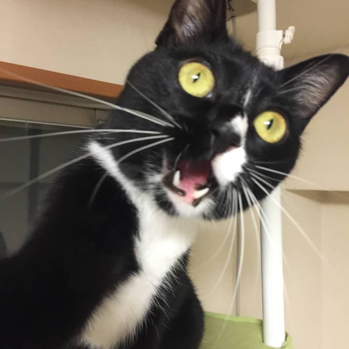 9702f3a8 2406 4e02 b0e1 fbec4e2fb41e