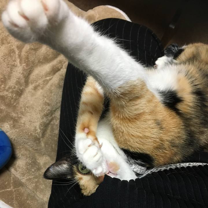 970413cd 8931 48c5 b972 3aa97087ef1c