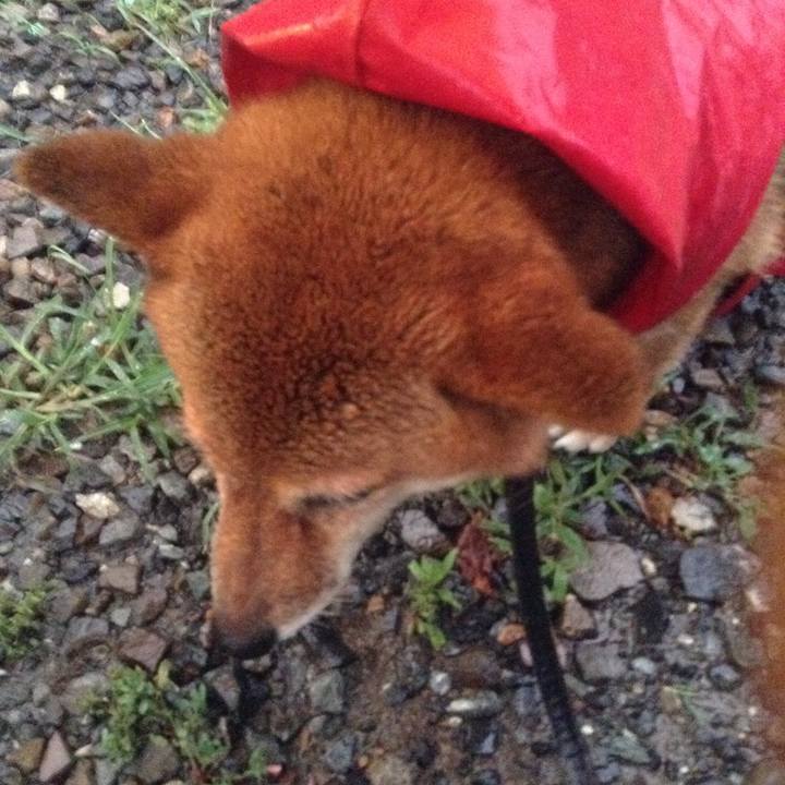 97043d61 5c50 49cb ac52 0c6e1eee5170