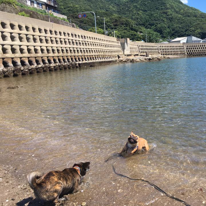 9704933e 7dae 4ec0 84e9 dc3ca5495a41