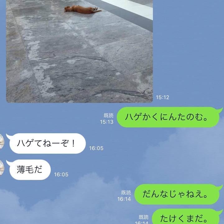 9704e04c ae61 4bfb b83a e314d4dcbe0e