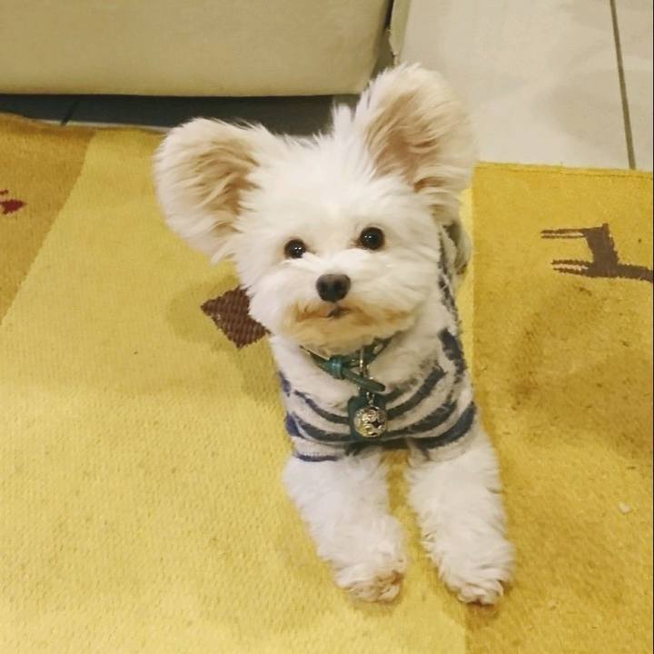 9704f4b2 cee6 46b9 b894 56b5255635bd