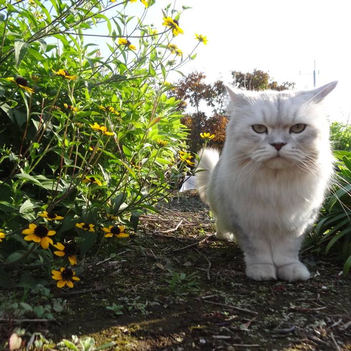 9706362c c99f 4a1e 86a4 3bfae1c6383b