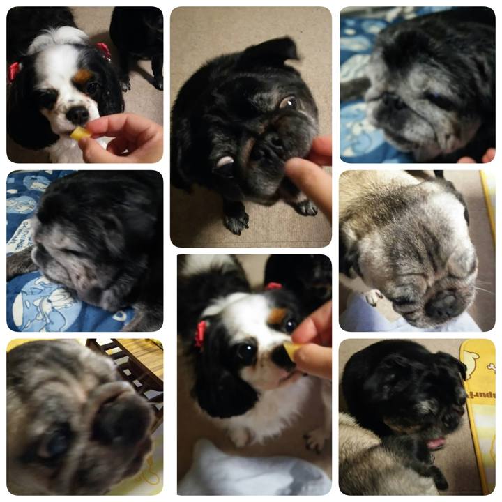 970779ef c941 4e01 b5b9 58b2e1b93cbc