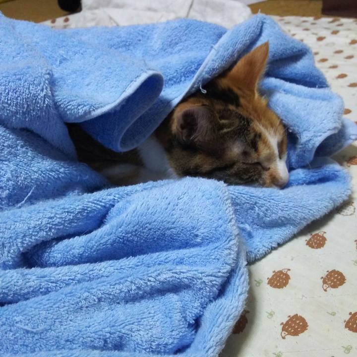 9707e020 554e 4e8f 82e8 9f89c5067ea7