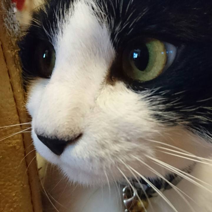 97080bf7 5dcc 462e 9e9b 13b6008d6418