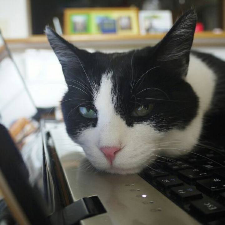 9708441c daf2 41b3 8b21 668f20b2d476