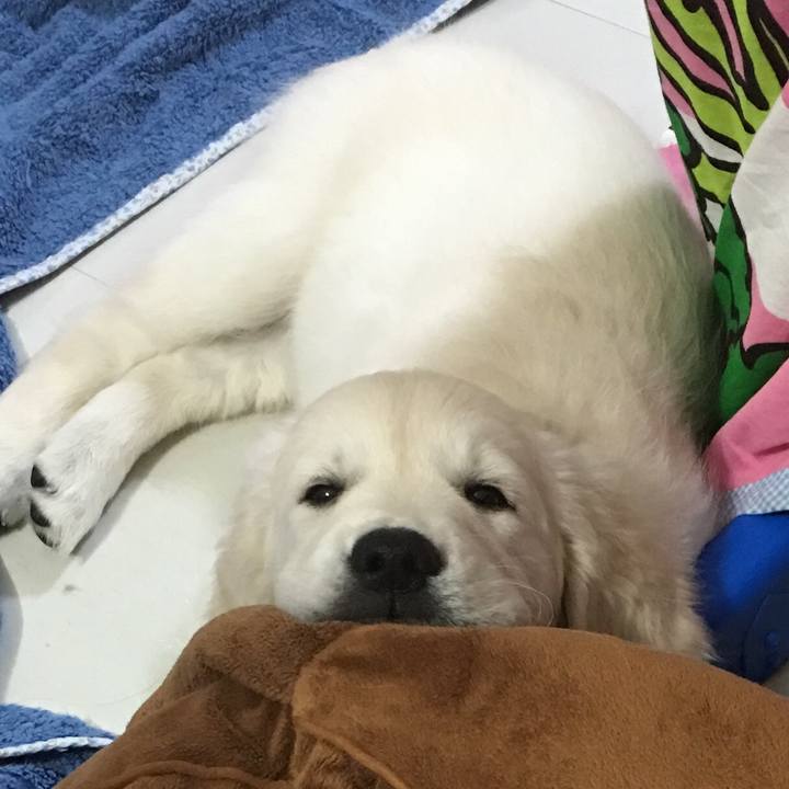 970857fb de61 4327 8611 9ecfe228973c