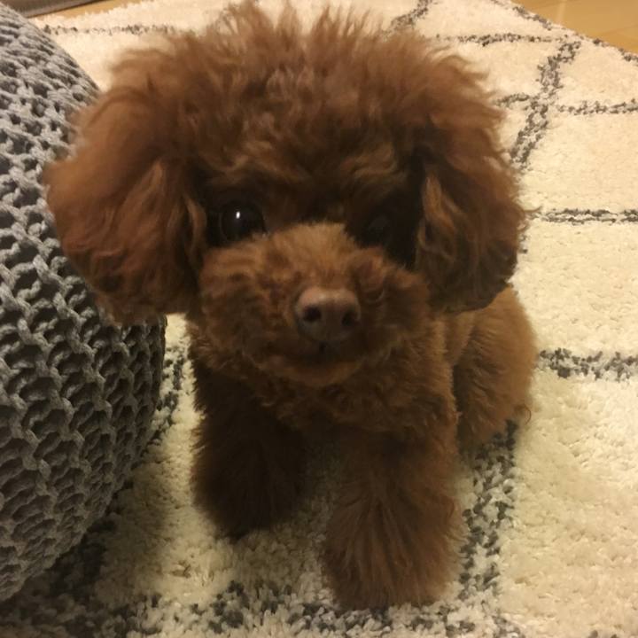 9708ac66 485f 4359 a8d8 ce9a1ef6a2f0