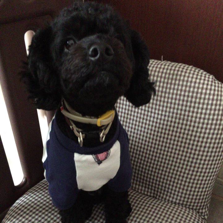 9708fa2d 5692 4932 880a 679f237de127