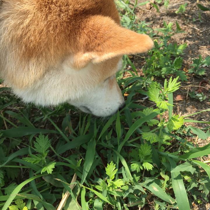 970917d7 6fb3 4edf 8dc4 a0c3401e8514