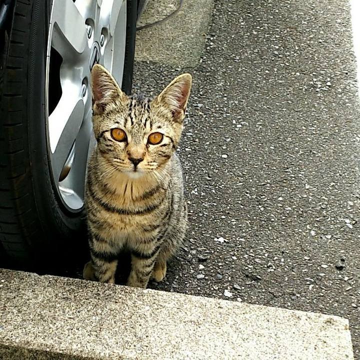 970946d3 42bc 401b 93d0 39ef945955f1