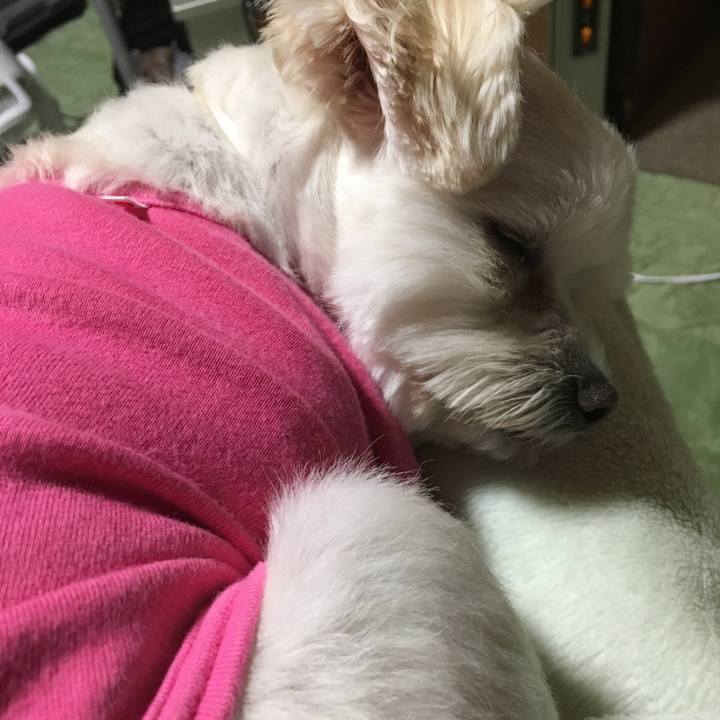 97096125 070d 4f1d a452 05ff65c8c36a