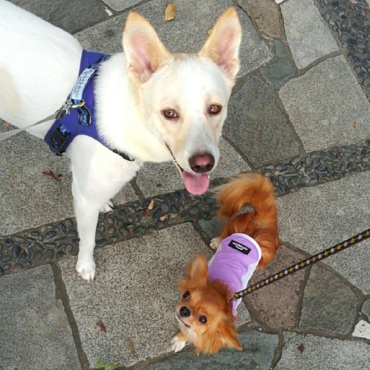 97099669 71d6 46b2 ba0b 6e1295d667c2