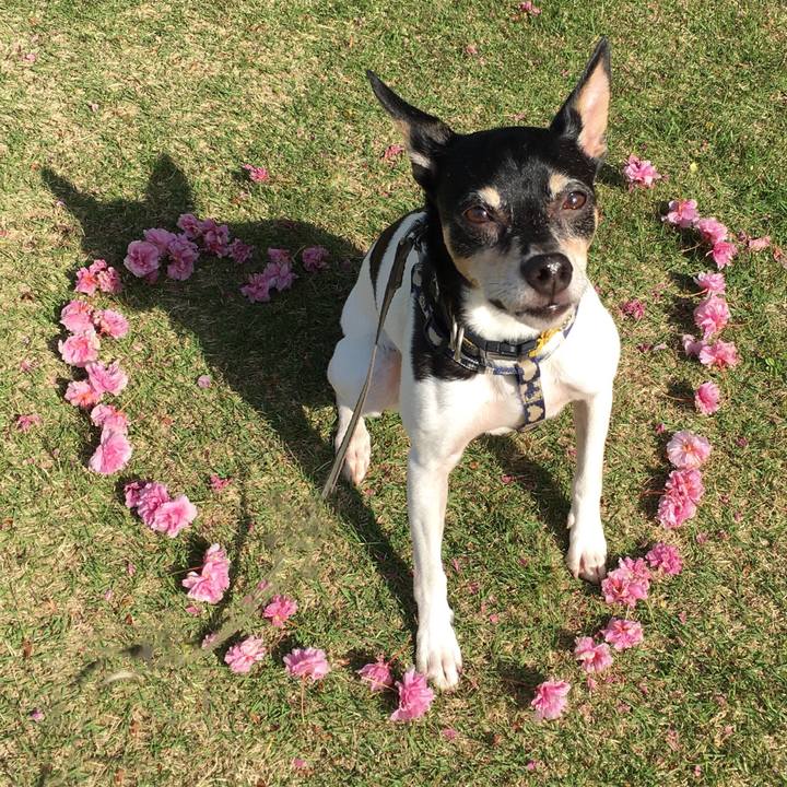 970a99e9 4249 40a5 b800 59865a468a53