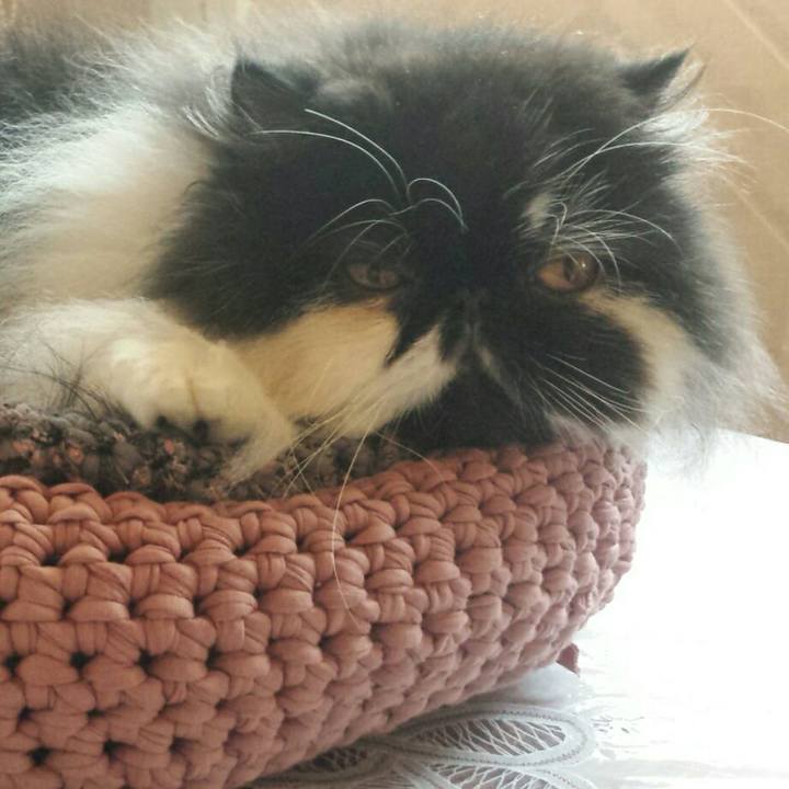 970b9c6a 4921 44dc b4cf 2bf33833178d