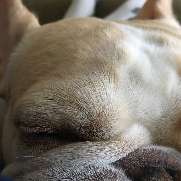 970c209d 4beb 46e4 8670 fe86611249db