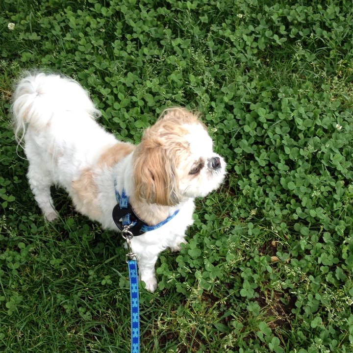 970cbdf0 aae2 49d4 ba81 b00fddf437bb