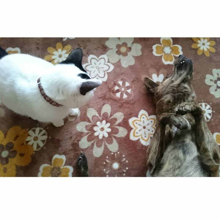 970cd1ed a4ec 4f03 8ec6 8e1827f9fe96