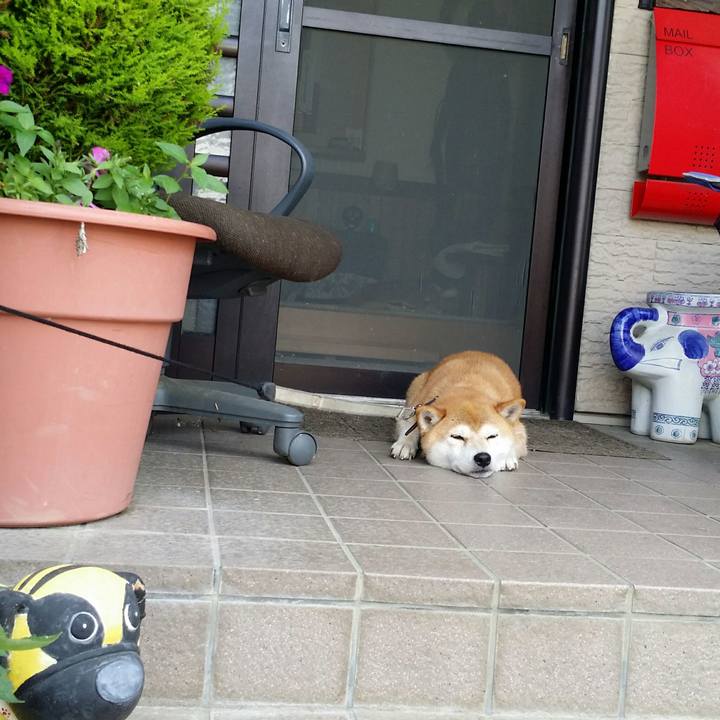 970cddef f4f0 49ea 994b befdfb289370