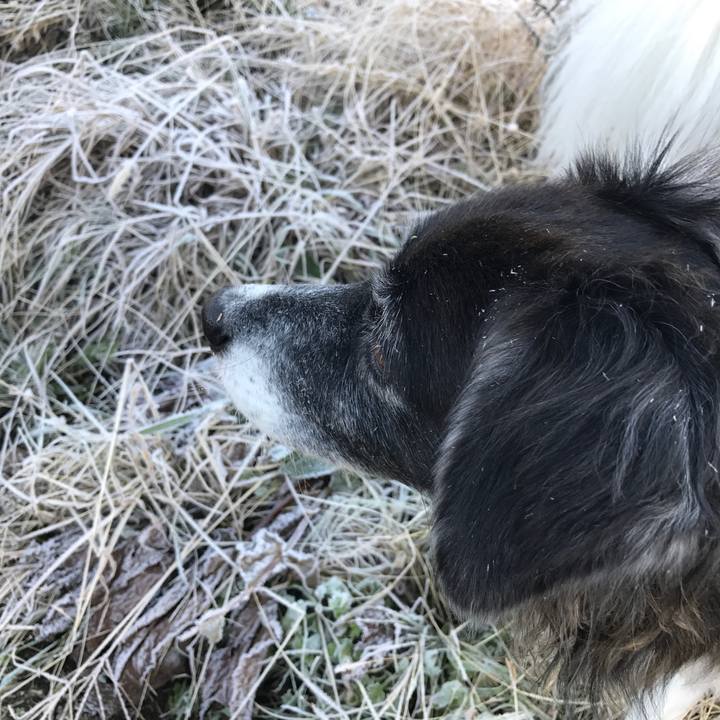 970eb479 a946 4abd 8eda 9a213b51297f