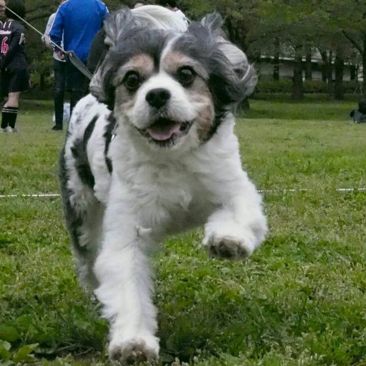 970eb522 d602 4192 ab0d fab082e4a4bc