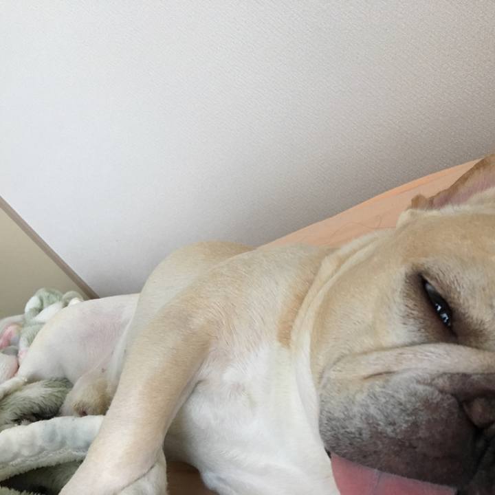 970ebbd8 cea4 4194 bc09 1221a5f4b8cb