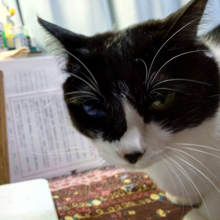 970ef327 b728 42b1 9d88 7c811924ee40