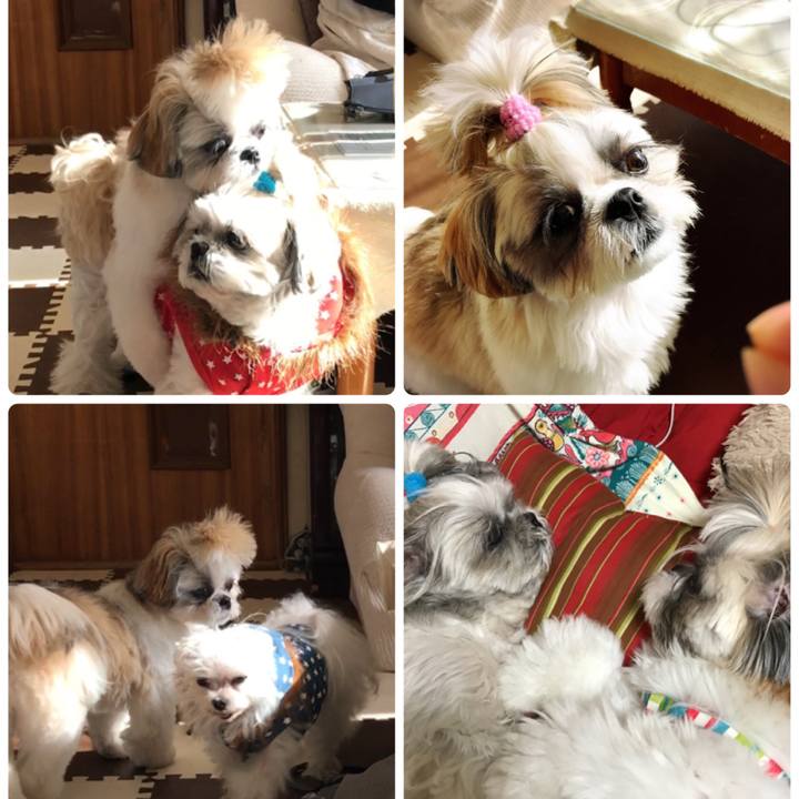 970f4362 96ae 4f4f af4f 5ddd89e317fb