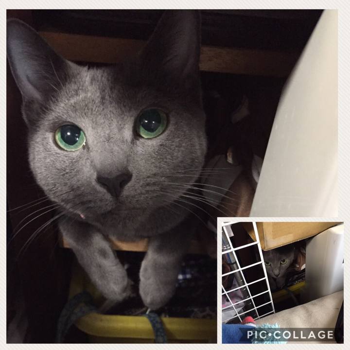 970f6d06 6370 4a44 926d 4e7b34cccf85