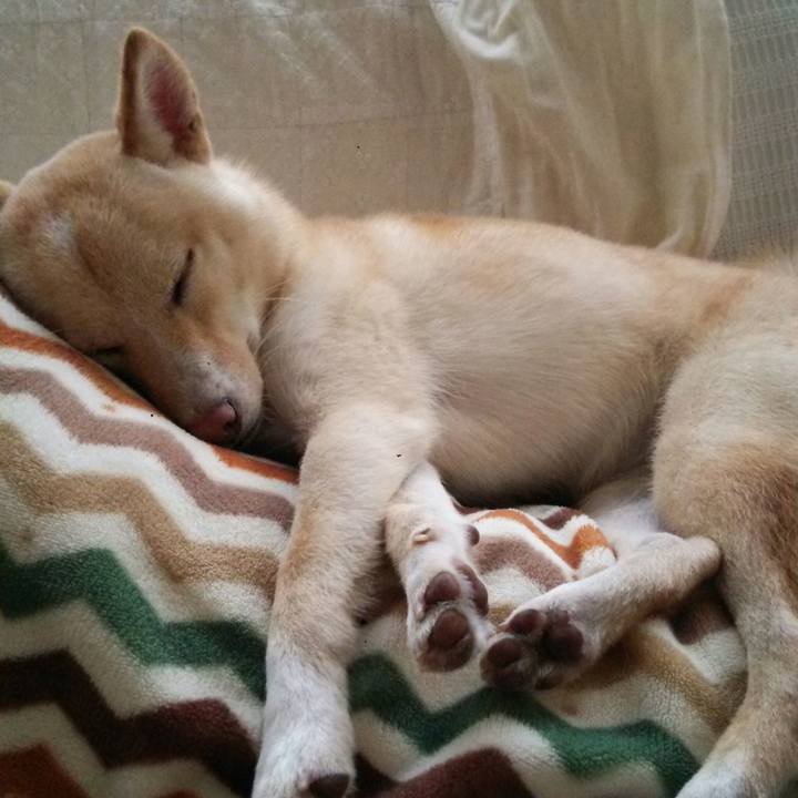 970fd587 cfbb 4465 b601 94f806a16d8f