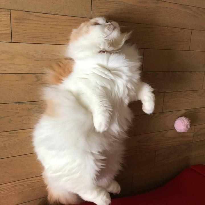 971051ef 1a75 4fac bf78 15ce13d4464f