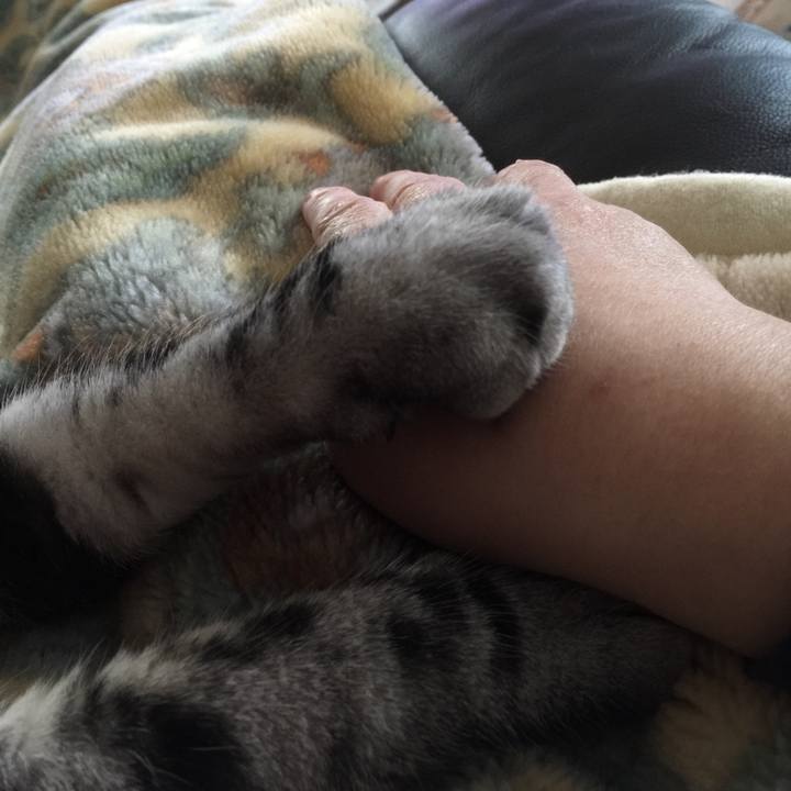 97106234 a0bc 40e8 9968 dfd04cf35441