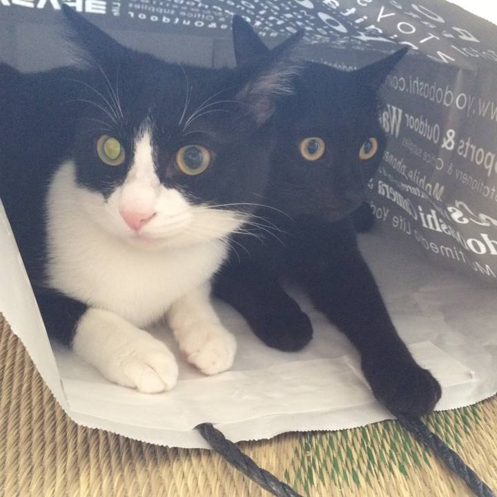 9710a4cd a969 4785 9436 0721850fdc75