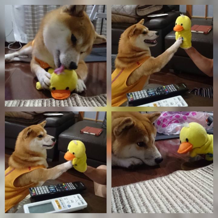 971103a3 2a6a 415f 992d 25fff8a2a5d1