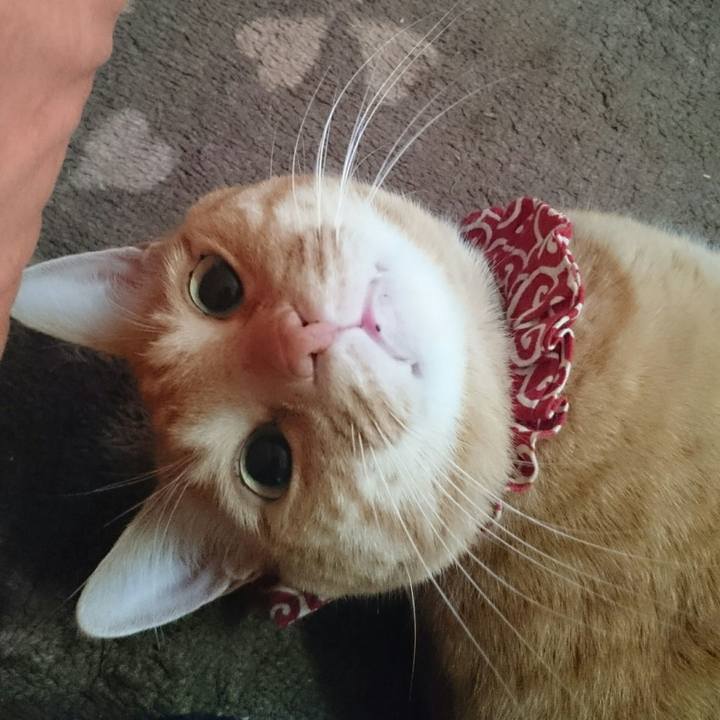 97115255 4ab4 4609 83b2 b04f5c83274e