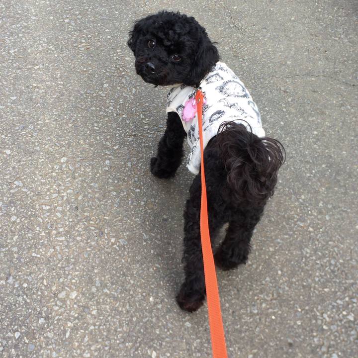 9711c614 7579 4bea ad6a 98e5003d45ff