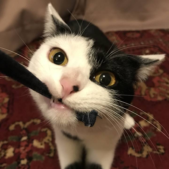 971207ed d9d4 42a6 8bb9 1fa498be08e4