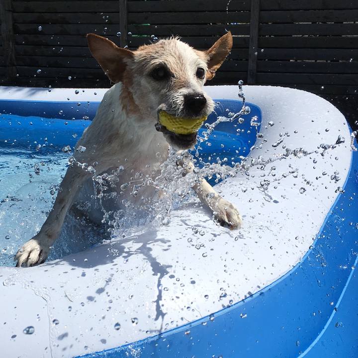 9712571b 3ecd 401a ac57 26cf61ccbfa1