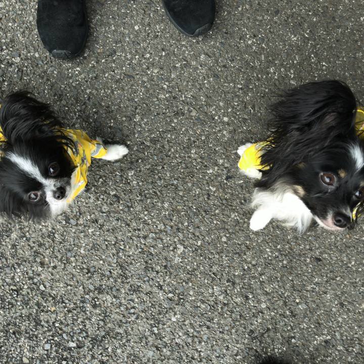 9712618c 7272 481b bcfc 9a0e133be8bb