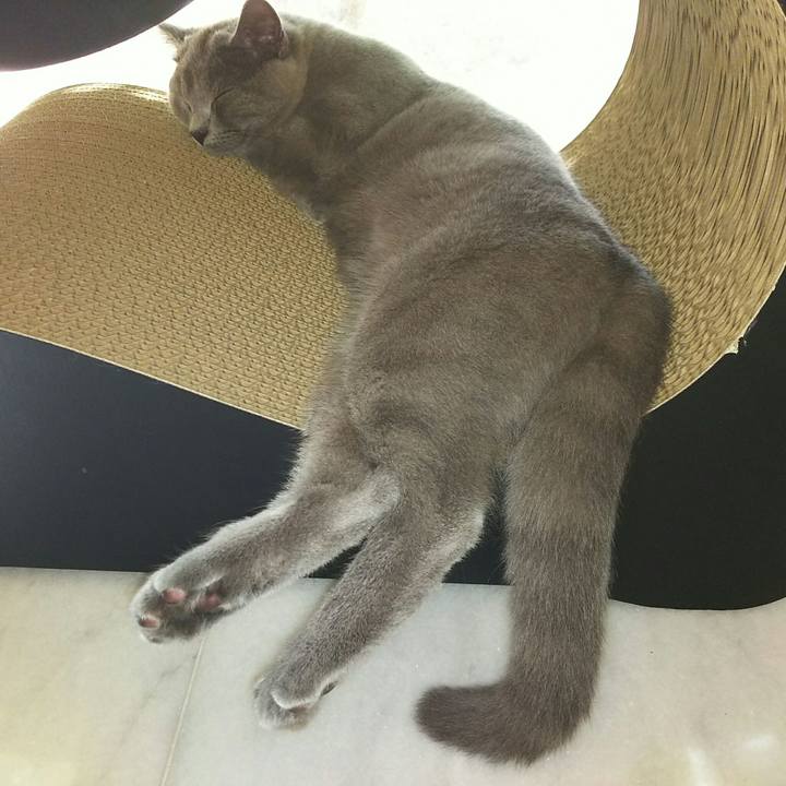 971335fa 3f00 4282 a939 1fe2a3a574a4