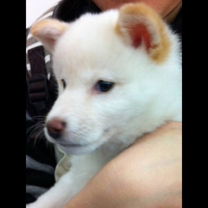 97135222 a234 401c b678 c2ddf2aa2f76